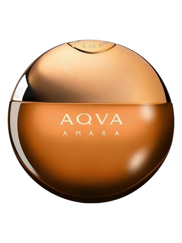 Aqva Amara Bvlgari Para Hombre 100 ml - vista principal