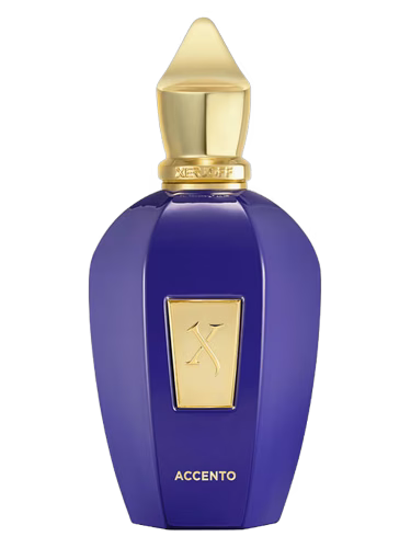 Accento Xerjoff Unisex 100 ml - vista principal