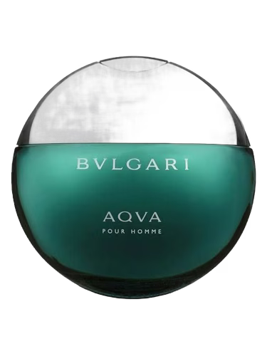 Aqva Pour Homme Bvlgari Para Hombre 100 ml - vista principal