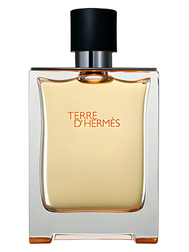 Terre d'Hermès Hermès Para Hombre 100 ml - vista principal