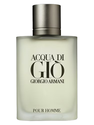 Acqua di Gio Giorgio Armani Para Hombre 100 ml - vista principal