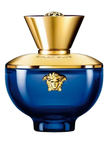 Versace Pour Femme Dylan Blue Para Mujer 100 ml - vista principal